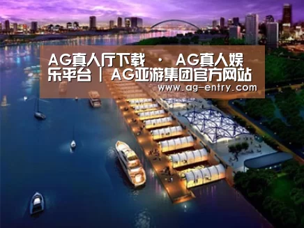 案例展示八