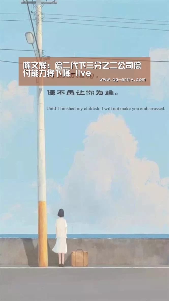 陈文辉:偿二代下三分之二公司偿付能力将下降-live(图2) AG真人登录