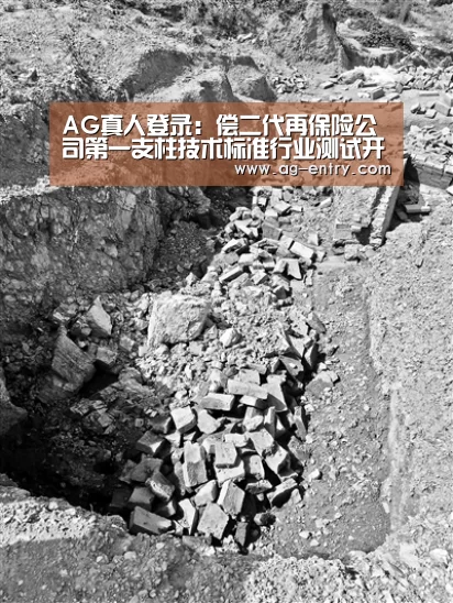 AG真人登录:偿二代再保险公司第一支柱技术标准行业测试开展(图1) ag真人