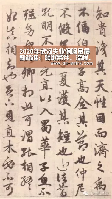2020年武汉失业保险金最新标准:领取条件、流程、领多少钱‘AG体育’(图1) AG体育