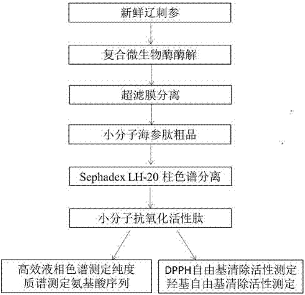 爱恋_AG体育(图3) ag真人