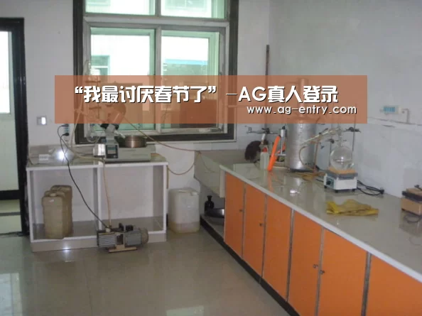 “我最讨厌春节了”-AG真人登录(图4) ag真人
