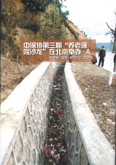 中保协第三期“养老保险沙龙”在北京举办-AG体育(图1) 中保协第三期“养老保险沙龙”在北京举办-AG体育(图1)
