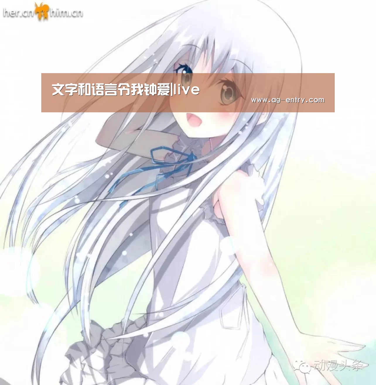 文字和语言令我钟爱|live(图2) 文字和语言令我钟爱|live(图2)