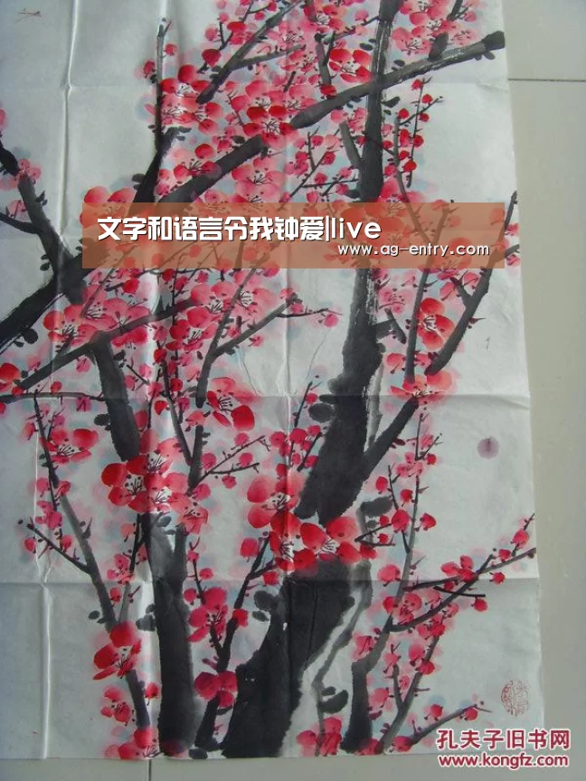 文字和语言令我钟爱|live(图1) AG体育